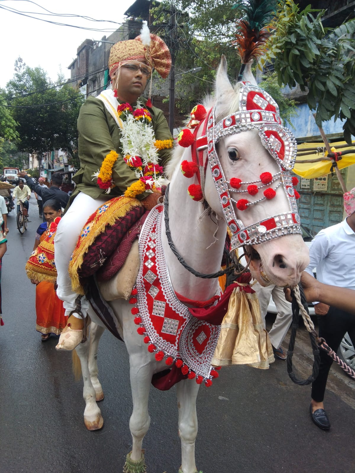 Groom in a sherwani and turban riding a white horse decorated with red floral trappings