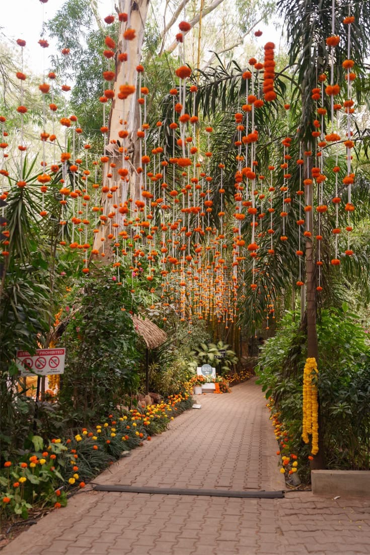 Garden walkway beneath hanging orange flowers and greenery with floral arrangements beside the path